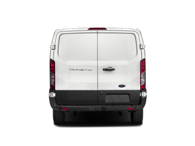2019 Ford Transit Van 130 WB Low Roof Cargo