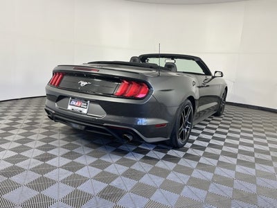 2019 Ford Mustang Base