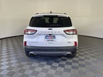 2021 Ford Escape Titanium Hybrid