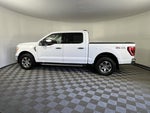 2023 Ford F-150 Base