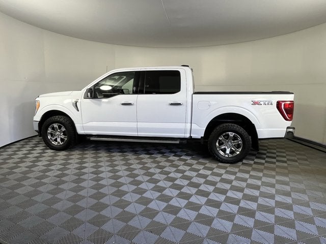 2023 Ford F-150 Base
