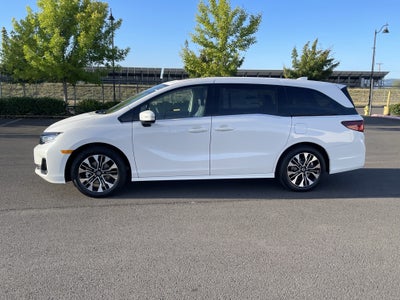 2026 Honda Odyssey Elite
