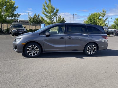 2026 Honda Odyssey Elite