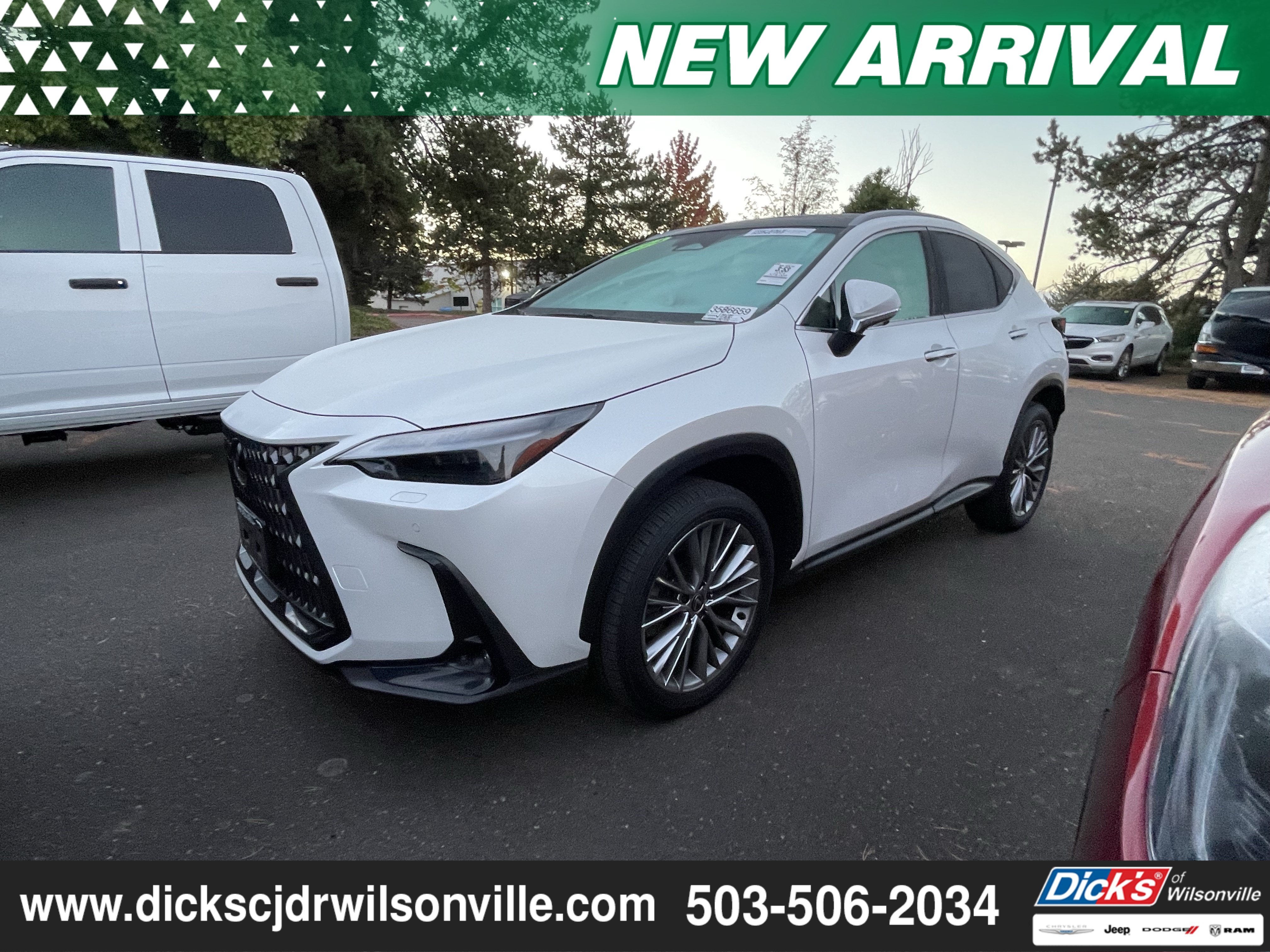 2024 Lexus NX 350 Luxury