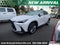 2024 Lexus NX 350 Luxury